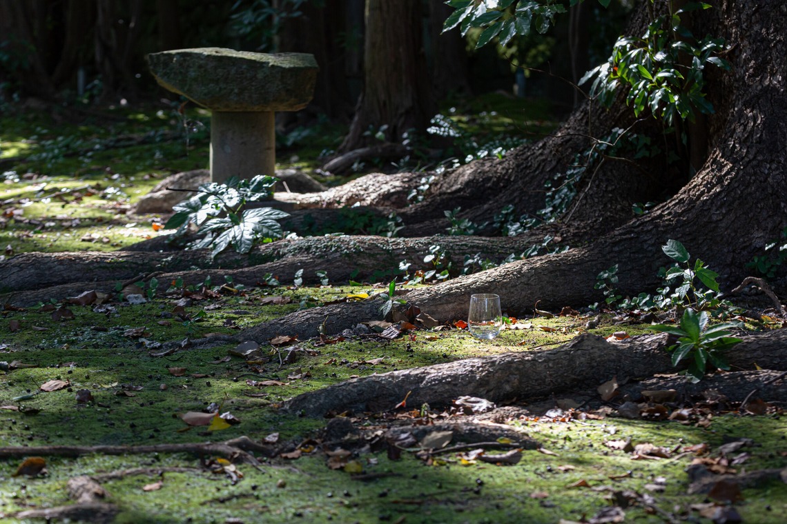 デグチマミが撮影した写真のアルバム「商品撮影」