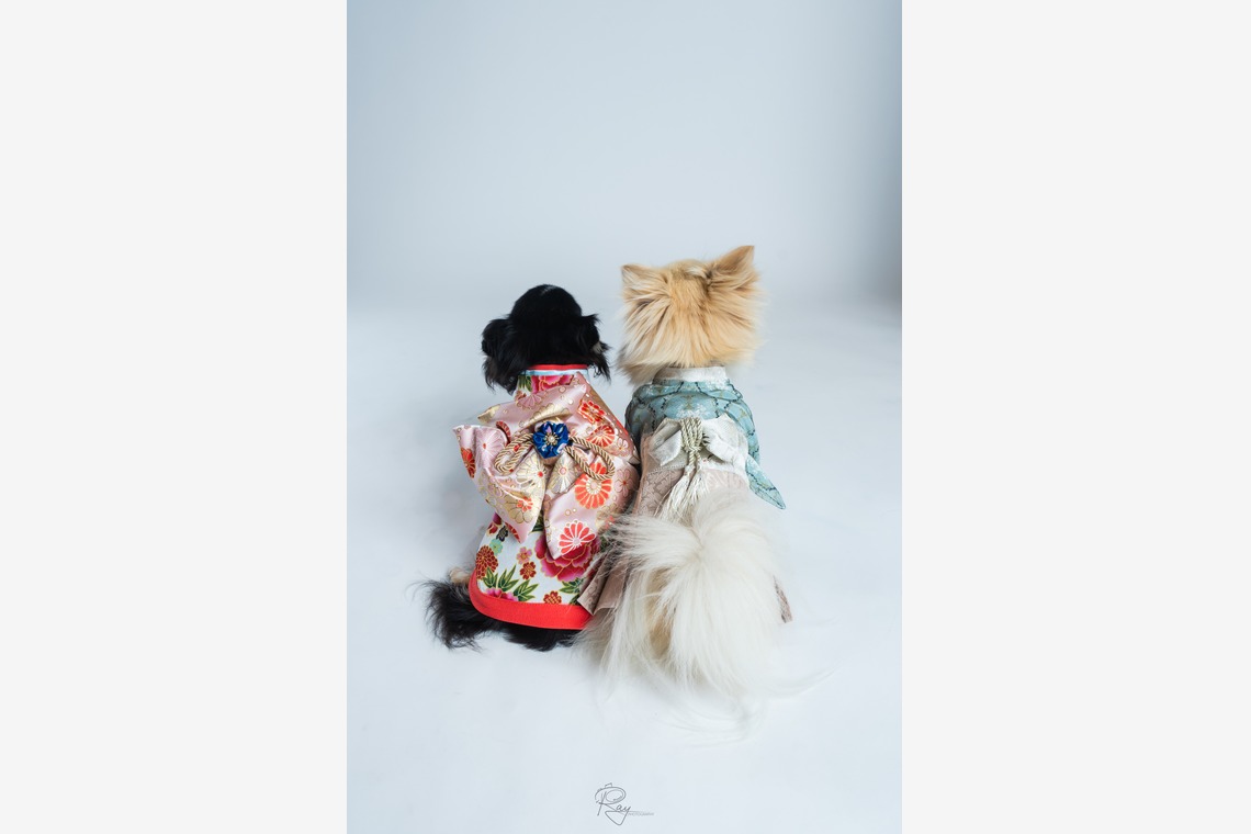 Ray Yamaguchiが出張撮影した家族写真(キッズ,ベビーフォト)などが写った「ペット撮影」の家族写真
