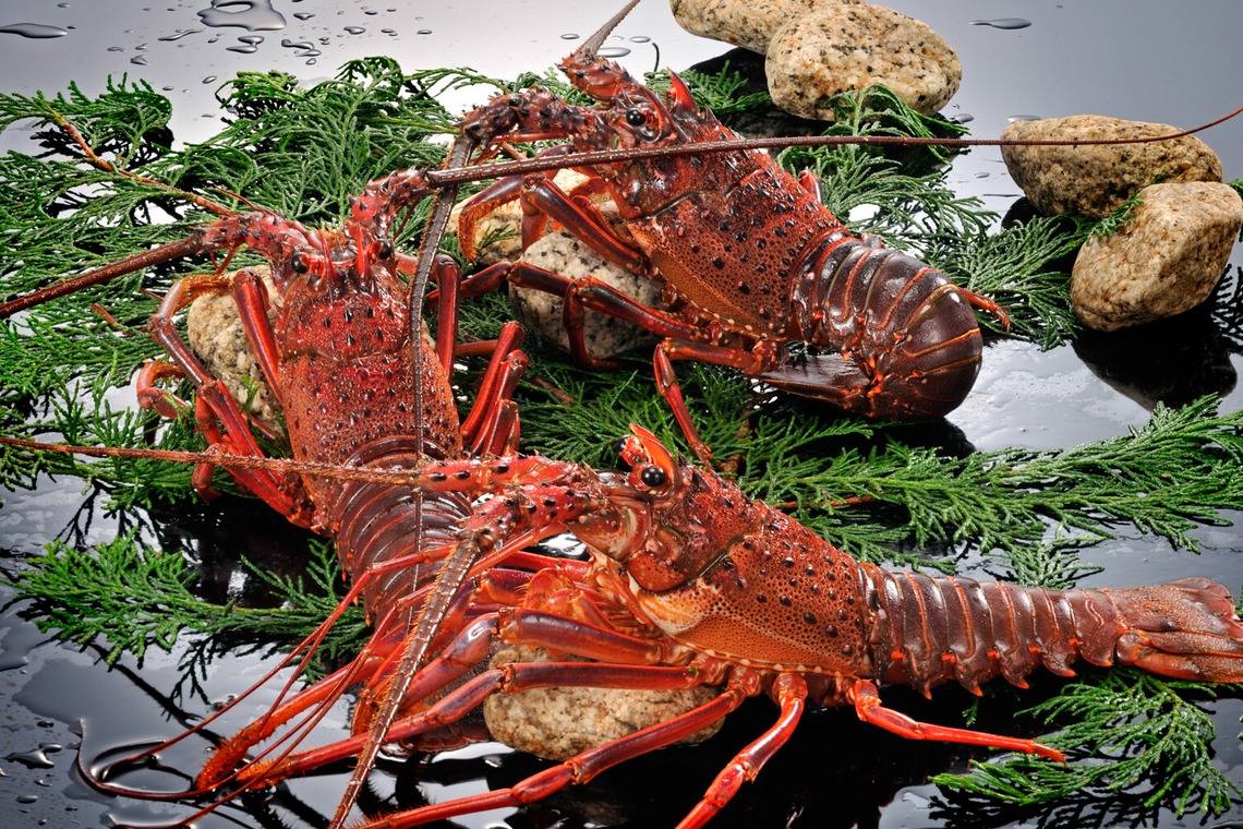 ワンツーBフォトが撮影した写真のアルバム「商品撮影」