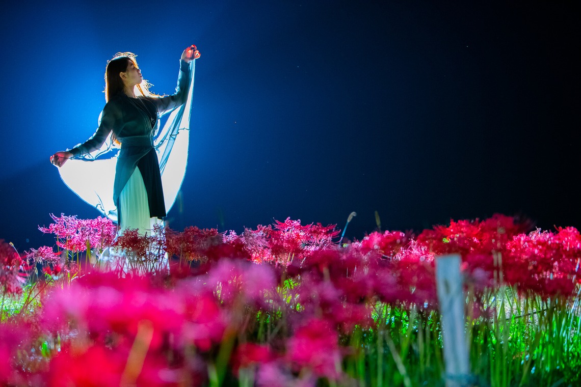 早川 陸が撮影した「サンプル写真」の写真