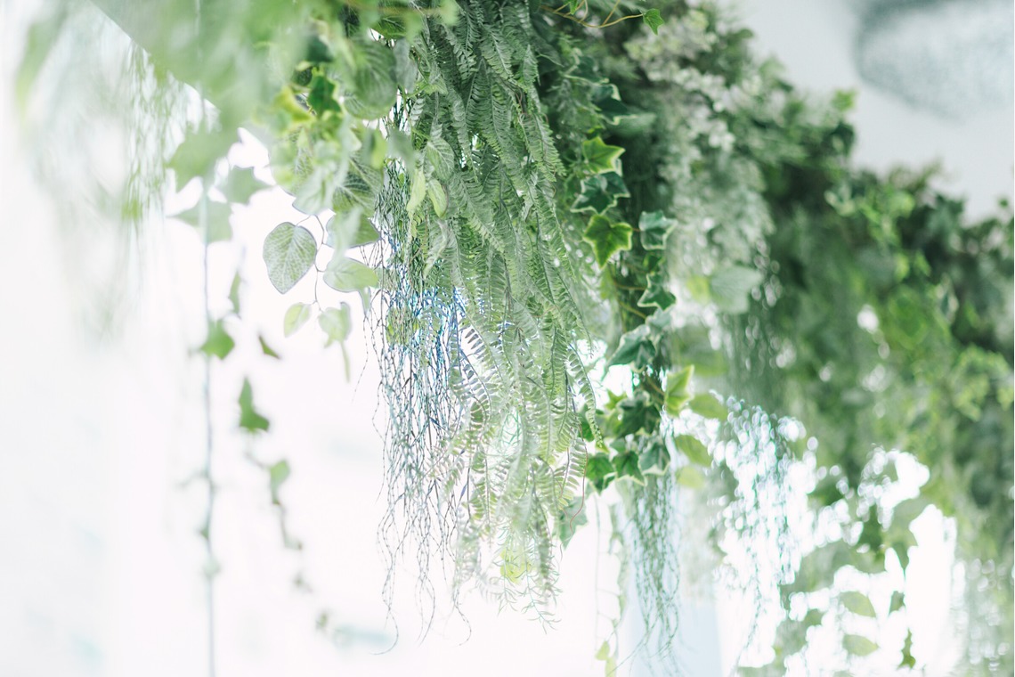 神宮啓佑が撮影した写真のアルバム「HP撮影C案件（撮影場所・企業様オフィス）」