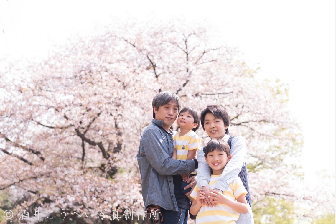 酒井こうへい写真製作所が撮影した写真のアルバム「公園でファミリーフォト」