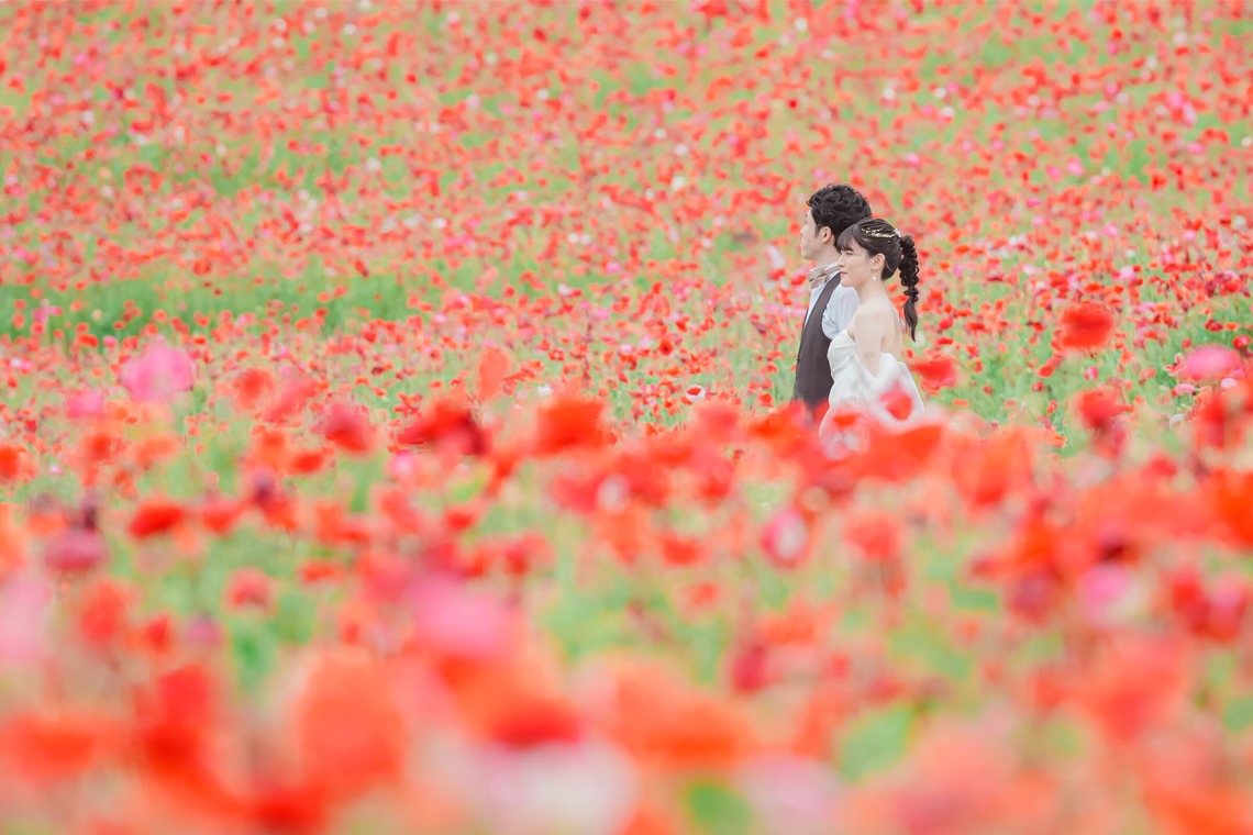 岩水悠が撮影した写真のアルバム「ウェディング前撮り」