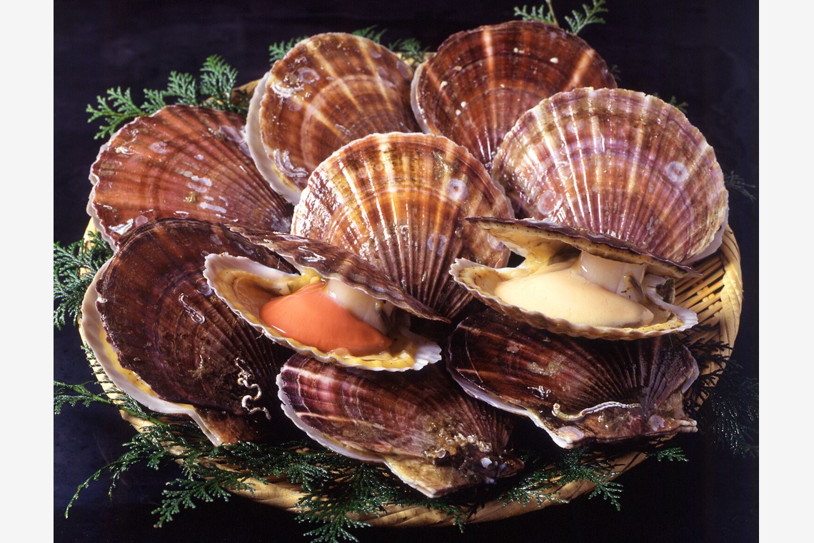 写真事務所ポートフォリオが撮影した「私のライフワーク」の写真