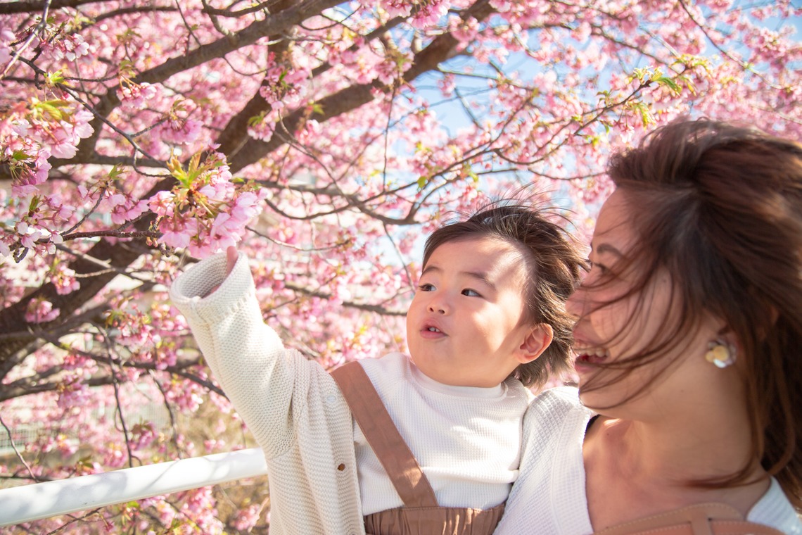 ゆのみふぉとが出張撮影した家族写真(キッズ,ベビーフォト)などが写った「桜とお写真」の家族写真