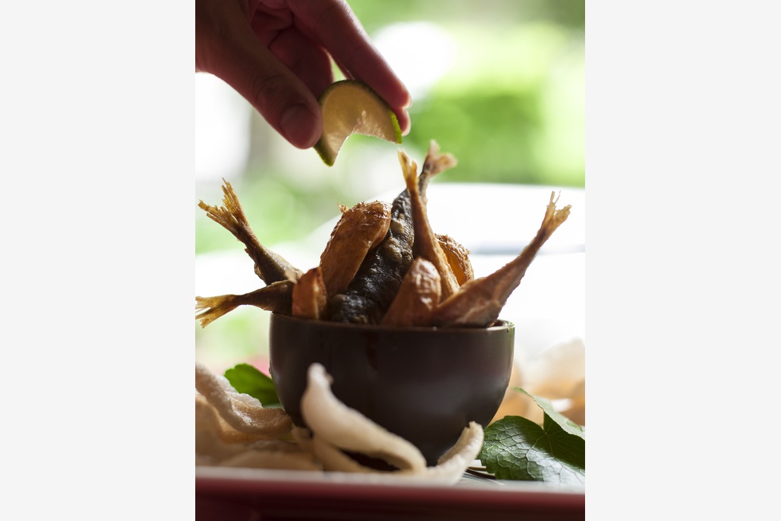 （有）プロヴィデンスが撮影した「料理」の写真