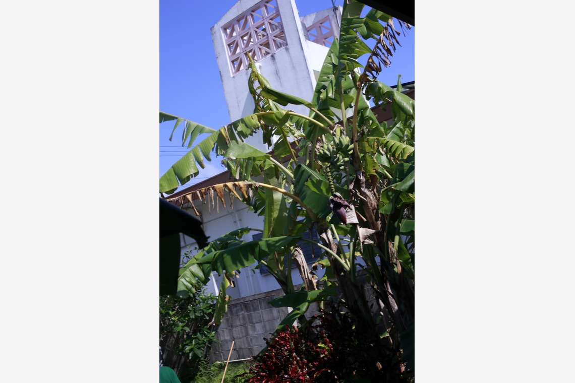 写真屋gonree　阿波根里恵が撮影した「店舗撮影」の写真