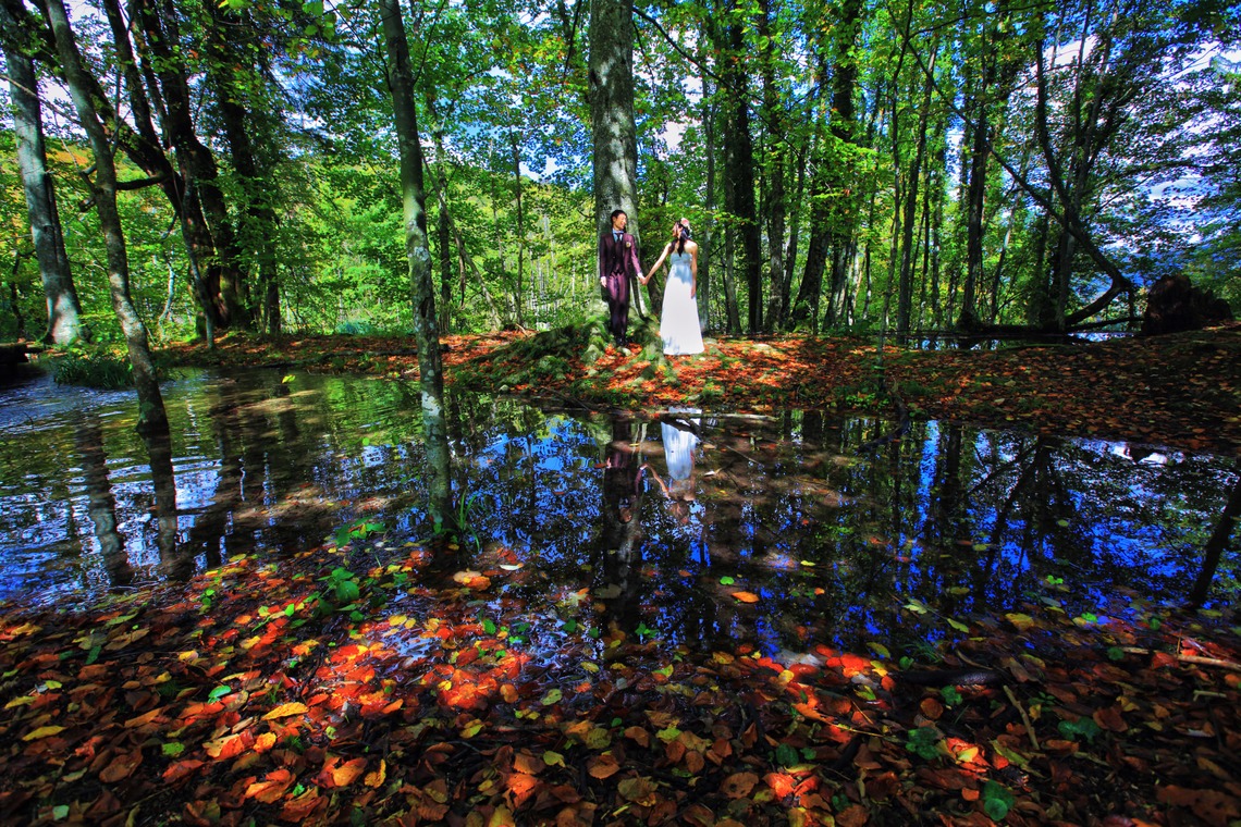 STUDIO Giroux (木下令)が撮影した「フォトギャラリー」の写真