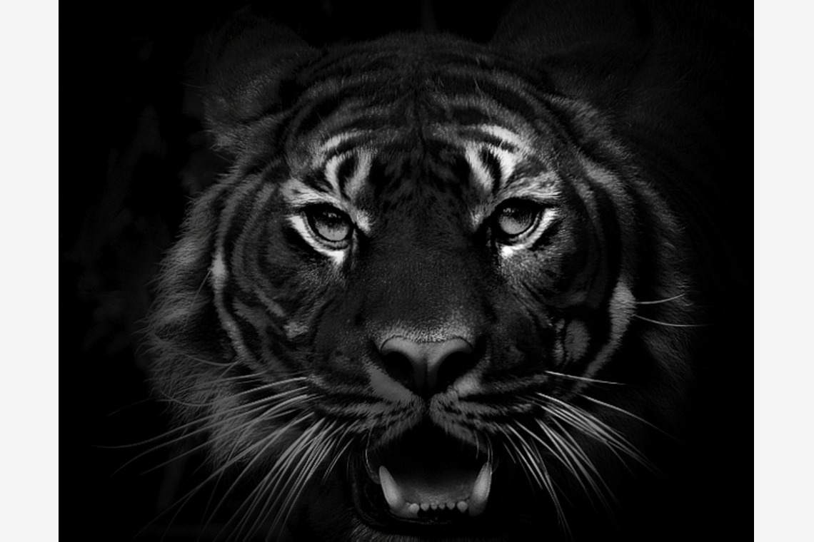 Photo of Mainly Kitakyushu City, Fukuoka Prefecture taken by 翔写真事務所