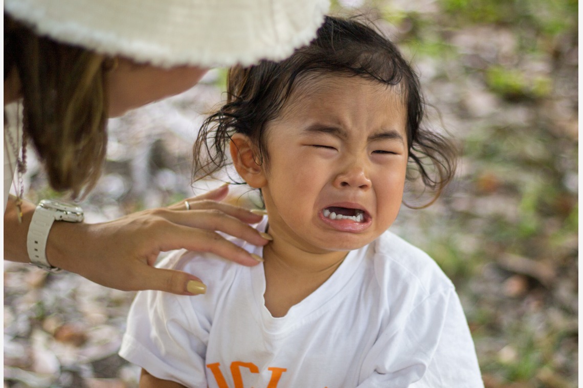 Smile photo misakeが撮影した写真のアルバム「お子様出張撮影」