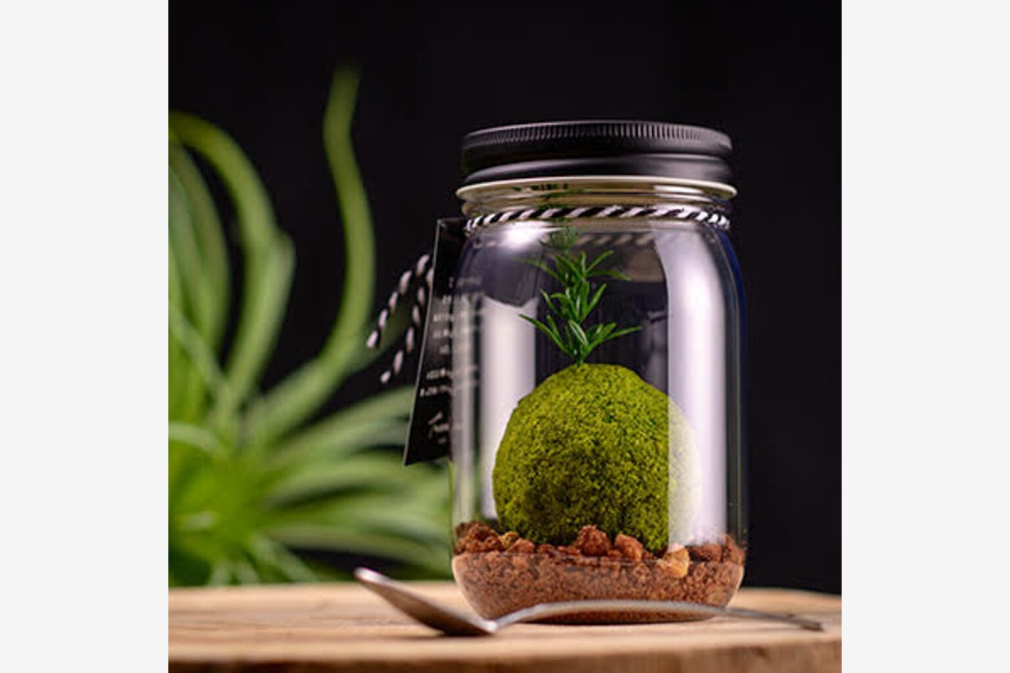 スタジオ桜が撮影した写真のアルバム「スィーツなど」