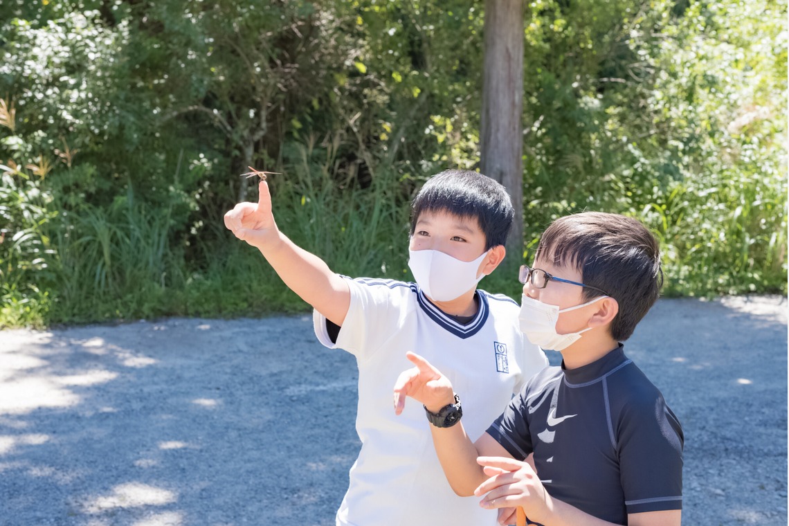 フォトスタジオ　ちっくたっくが撮影した「小学校」の写真