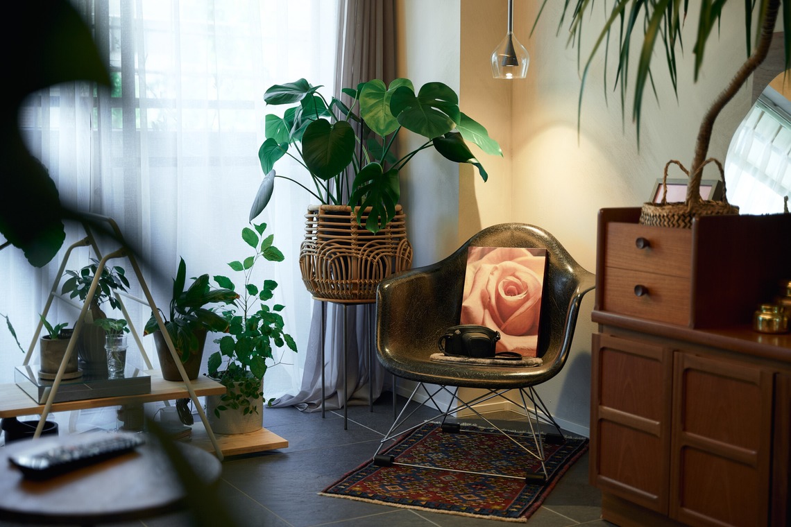 グラフフォトスタジオが撮影した「商店・住宅・商業・建物撮影事例」の写真