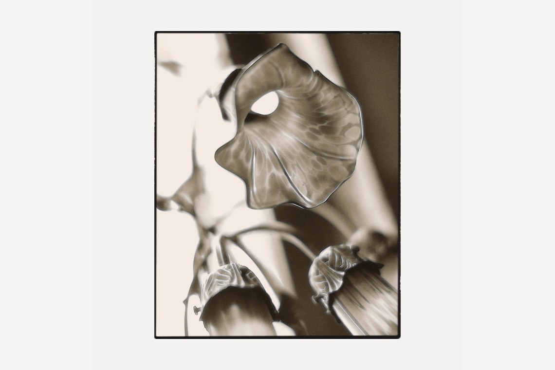 岡村公平が撮影した写真のアルバム「建造物」