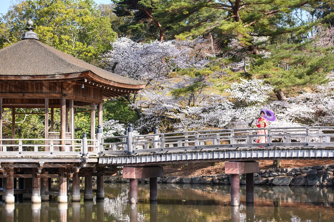 Visual Imagingが撮影した写真のアルバム「振袖桜ロケーション撮影」