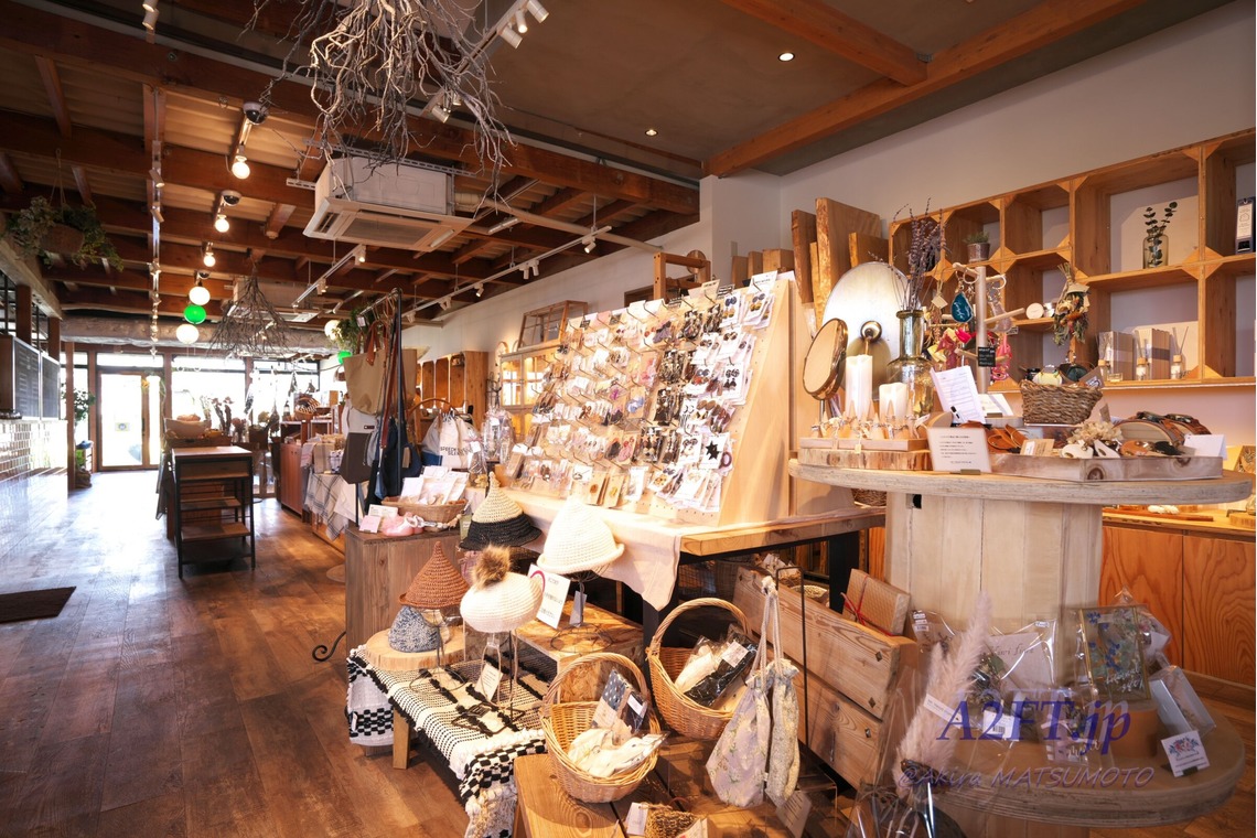 A2FT.jpフォトグラファーまつもとあきらが撮影した「2020年9月 kino-cocochi様」の写真