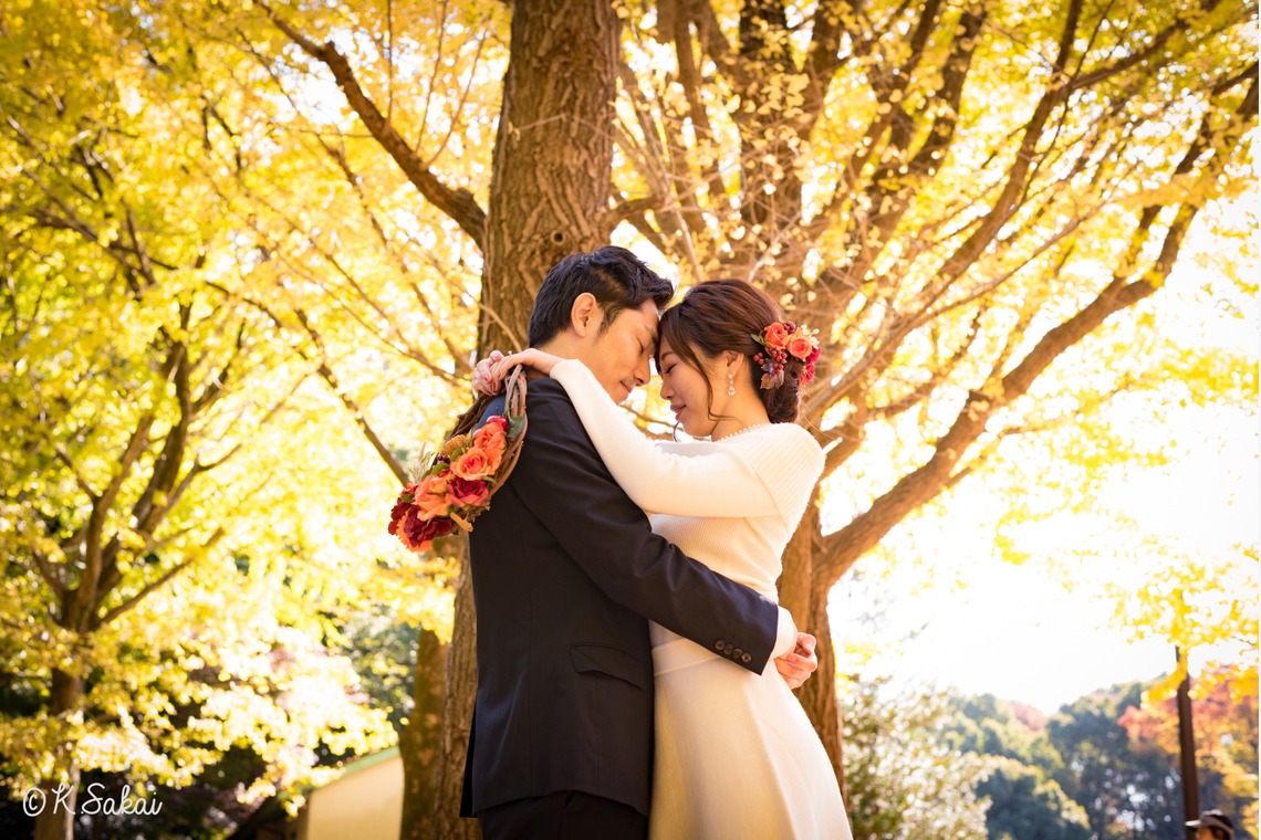 Album of the Wedding, Bridal taken by kohei - Engagement Photos