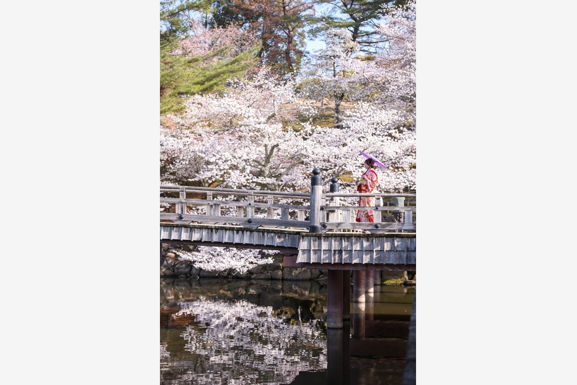 Visual Imagingが撮影した写真のアルバム「振袖桜ロケーション撮影」