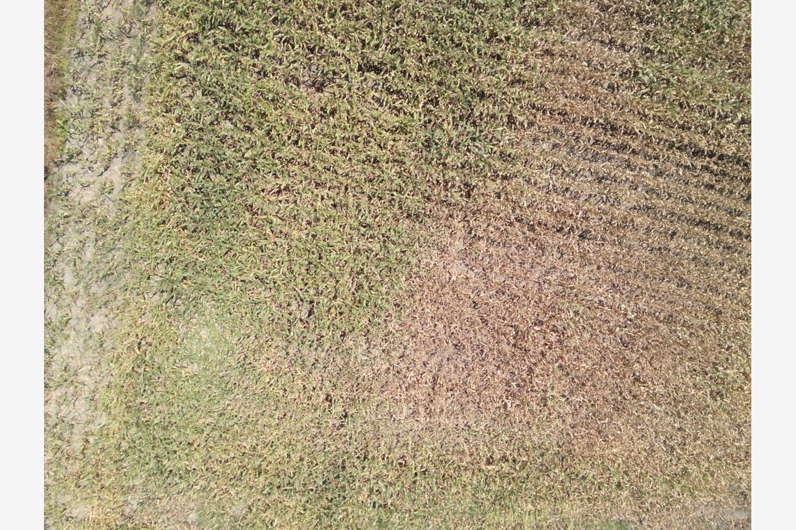 アナハイムエレクトロニクスが撮影した「震災農地調査」の写真