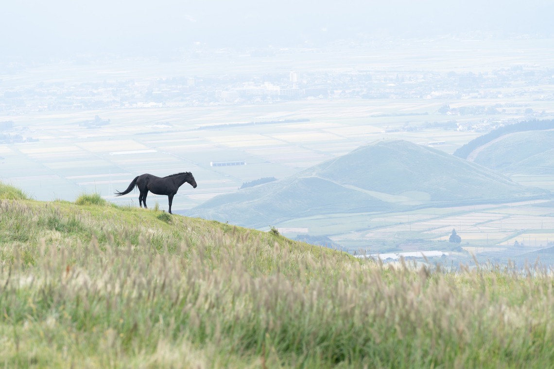 ハネムーンアベニューが撮影した写真のアルバム「審査用 （建物、部屋、風景）」