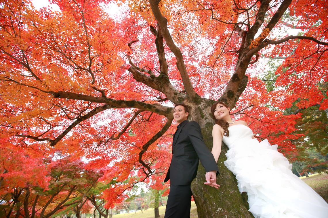 Photo of  taken by Hayashi Photo Works