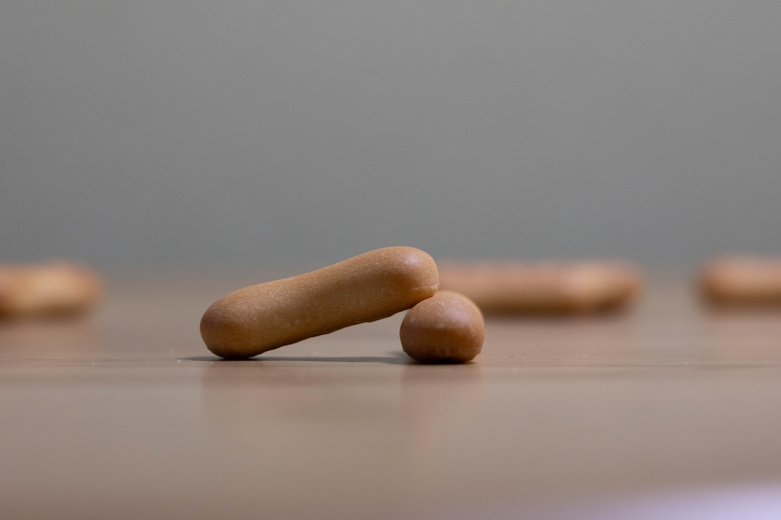 白石隆一郎が撮影した写真のアルバム「食べ物と物撮り」