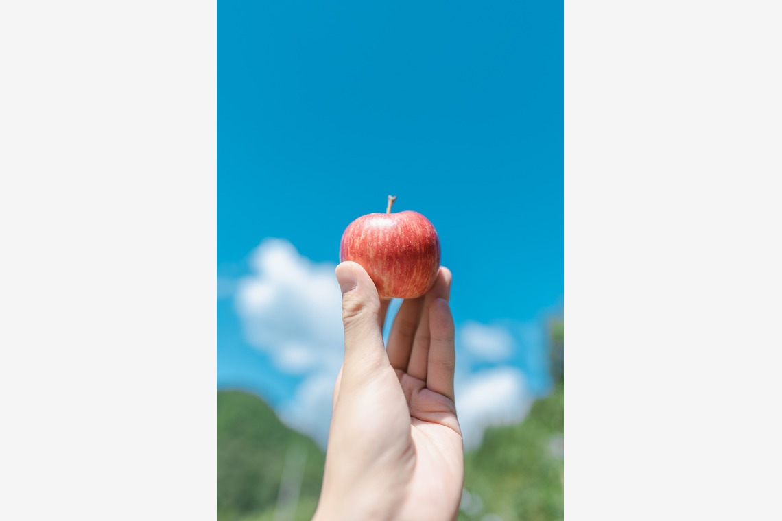 ヒガシモリ フミヤが撮影した写真のアルバム「物撮り撮影」