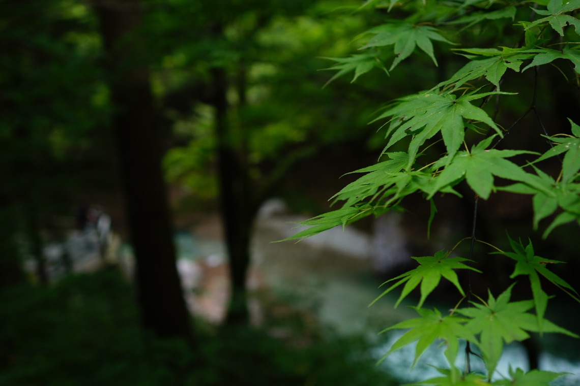 細部　歩が撮影した「風景等」の写真