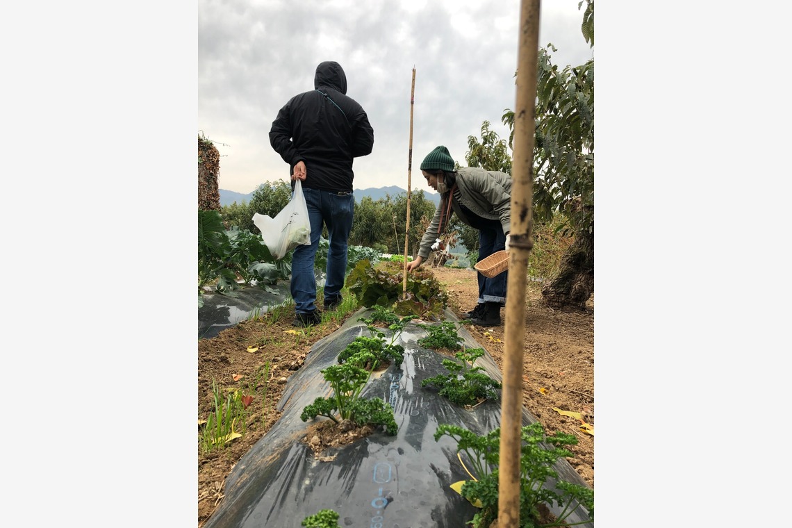 ant10.が撮影した「農家」の写真