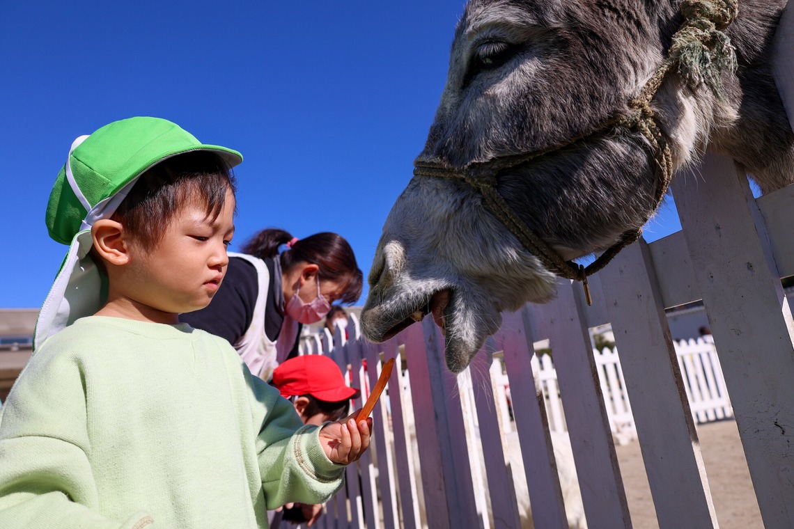 WithshopJapanが撮影した「スクールフォト」の写真