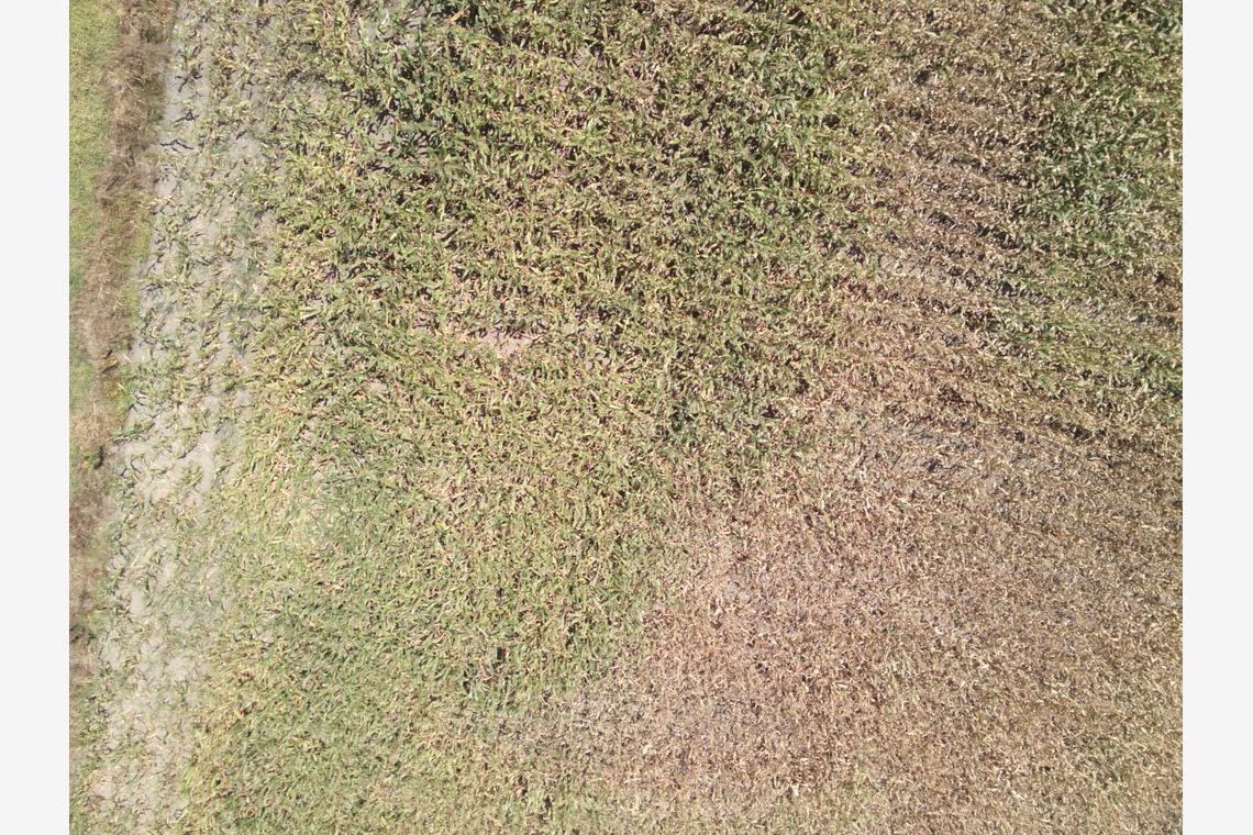 アナハイムエレクトロニクスが撮影した「震災農地調査」の写真