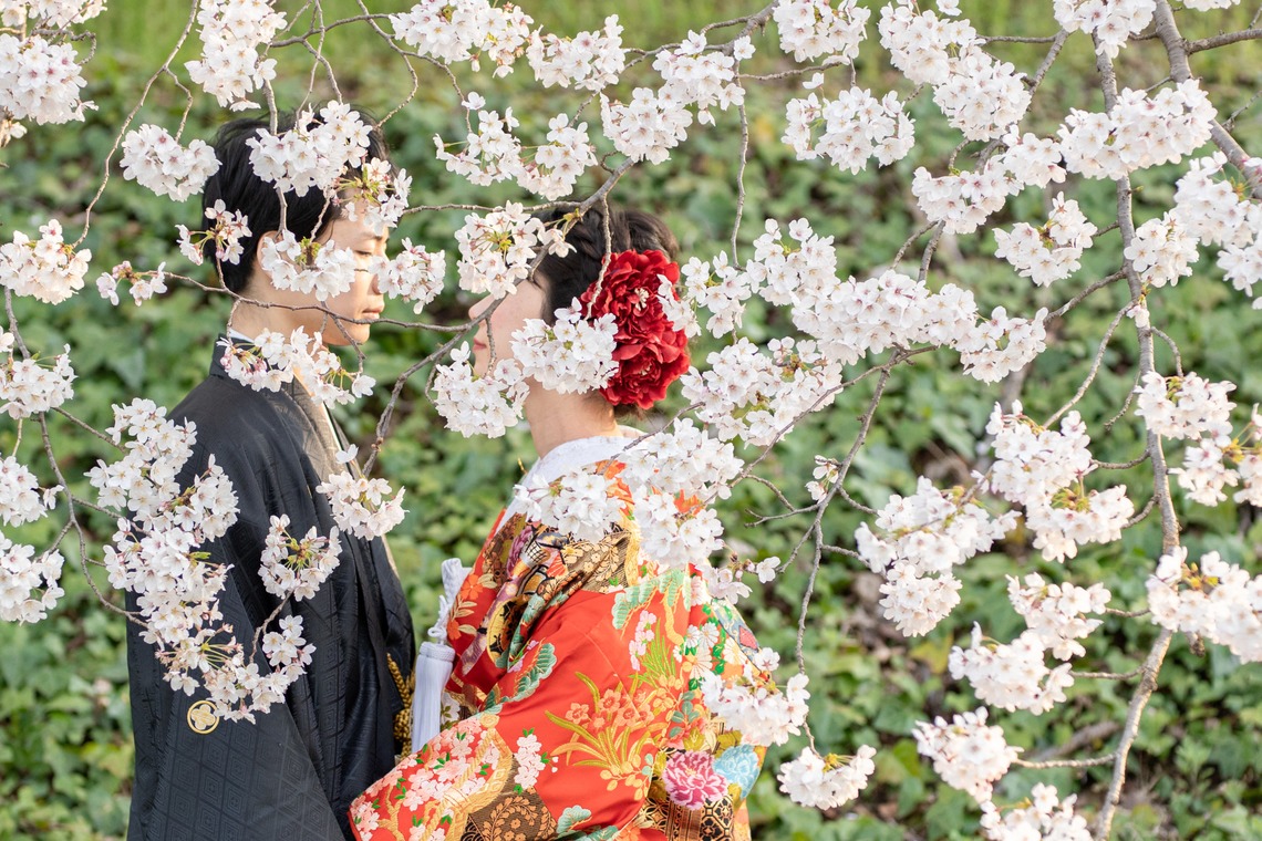 saruco(Hisashi Iwasaki)