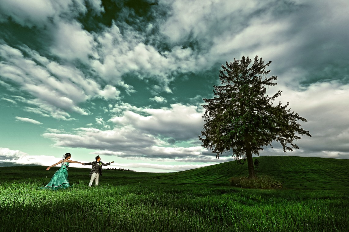 STUDIO Giroux (木下令)が撮影した「フォトギャラリー」の写真