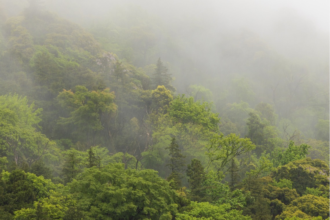 フォトオフィス　ルミエが撮影した「毎月のホテルの撮影」の写真