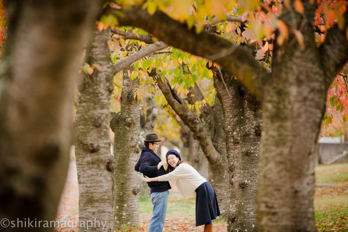 シキラマ グラフィーが撮影した写真のアルバム「紅葉・エンゲージメント」