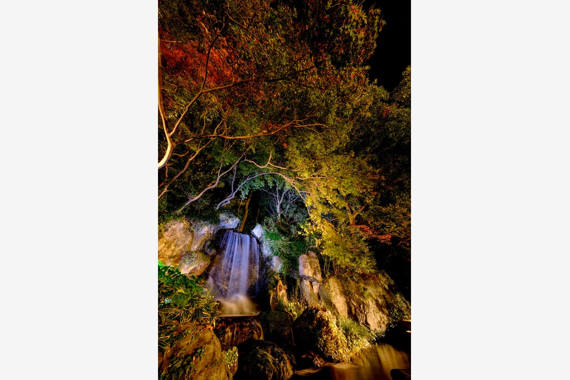 moufotoが撮影した「園内撮影」の写真