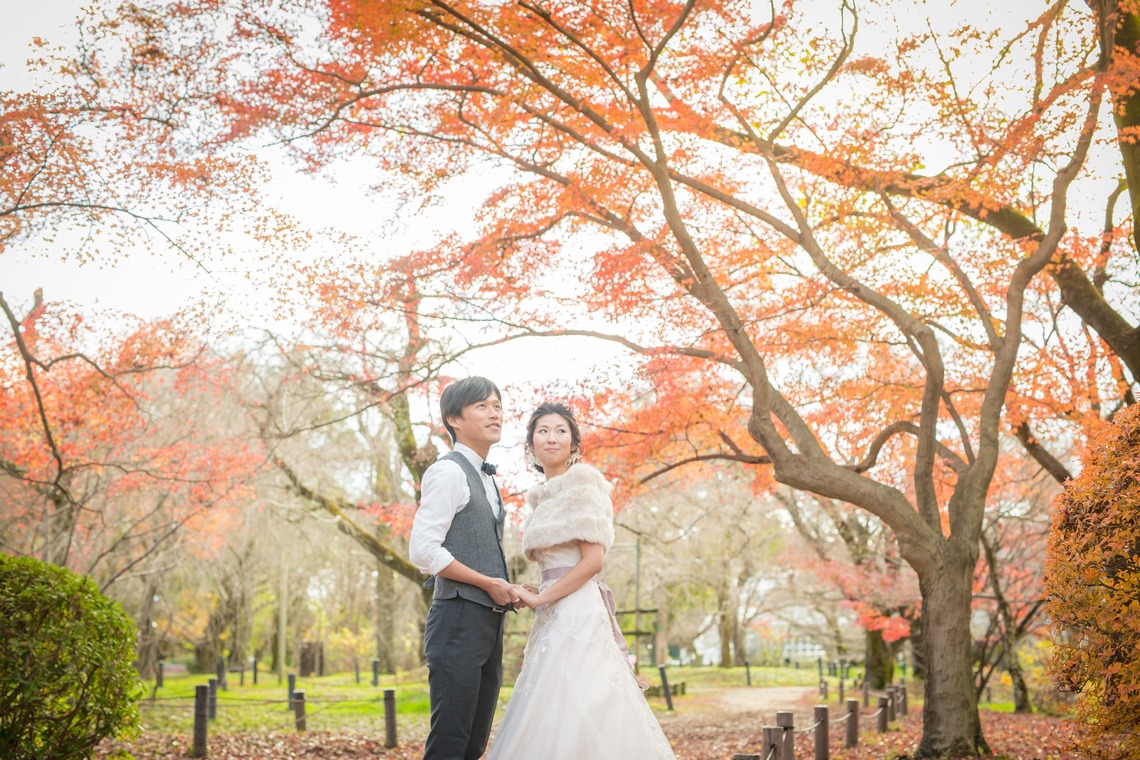 Photo of kyoto autumn taken by SORAIRO