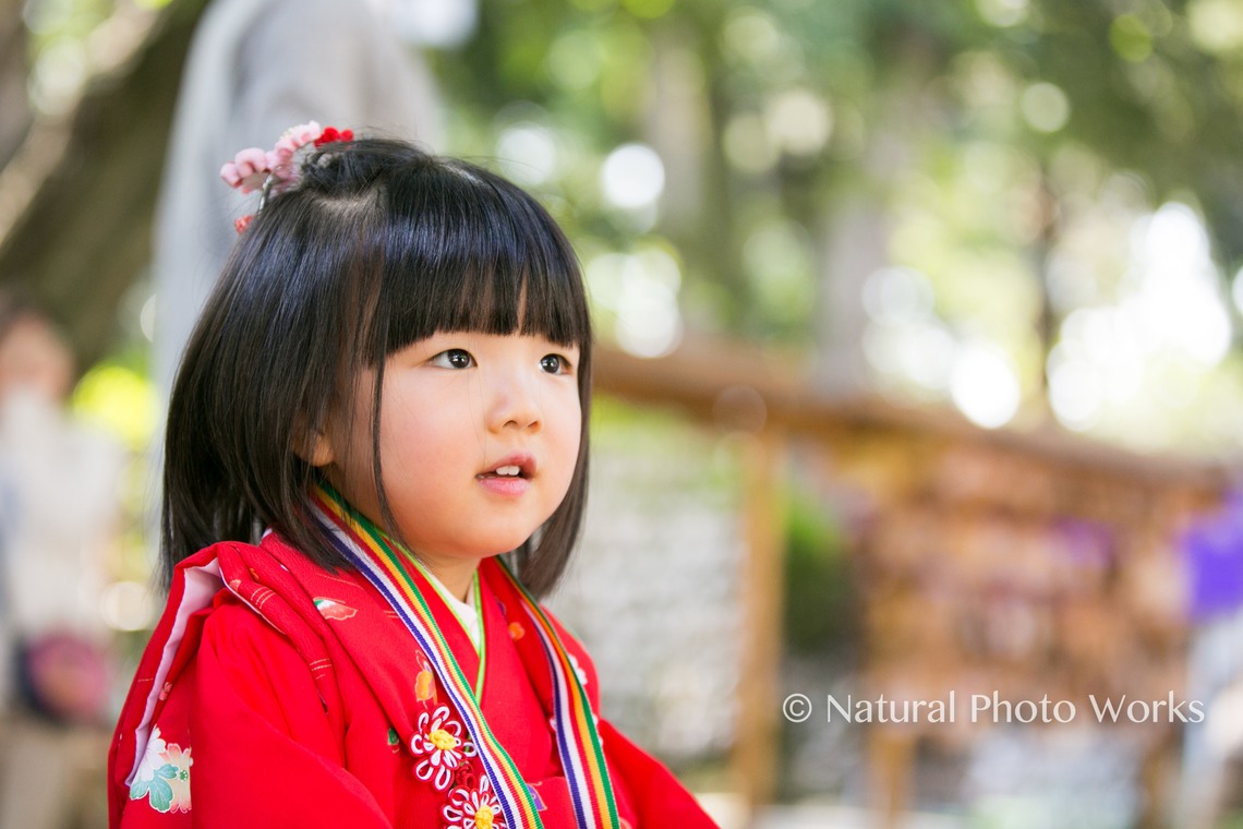 Keiko Yuzawaが撮影した写真のアルバム「七五三」