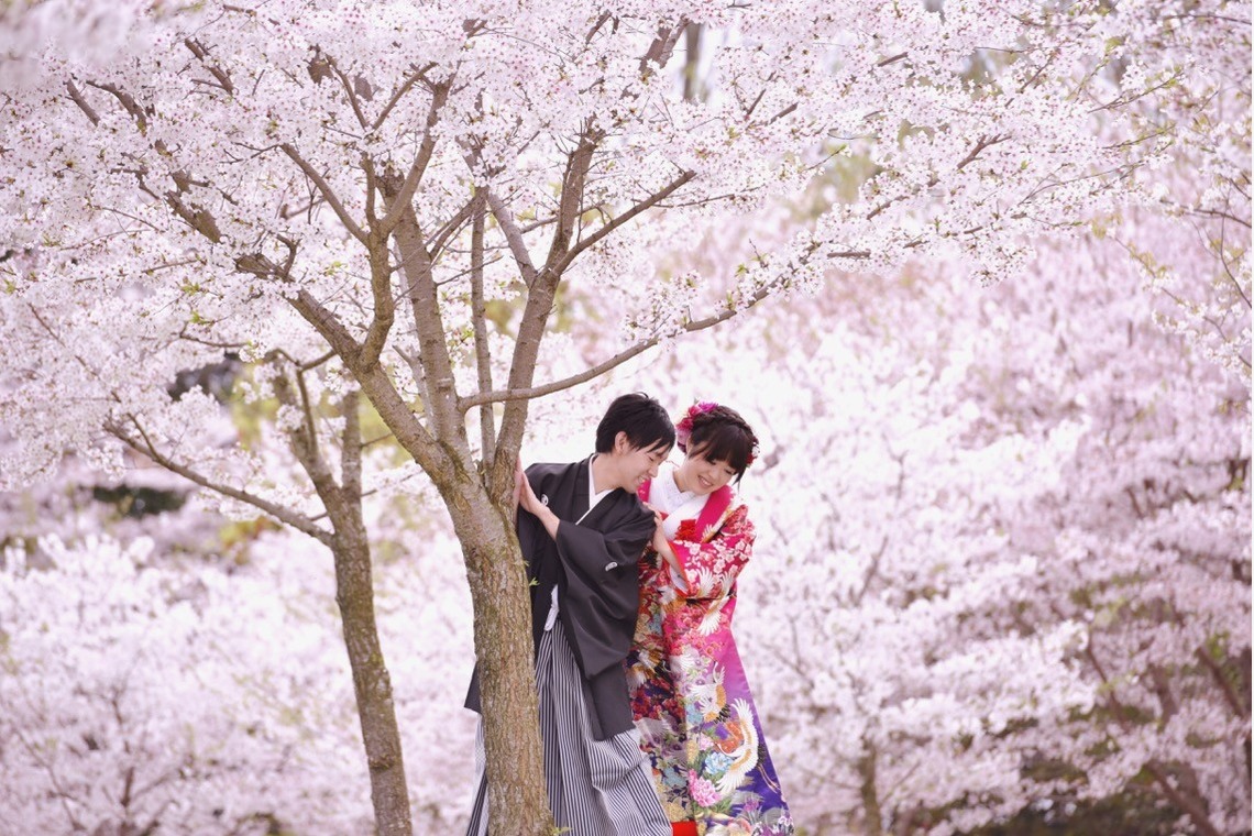 キキフォトワークスが撮影した「桜の季節の和装前撮り」の写真