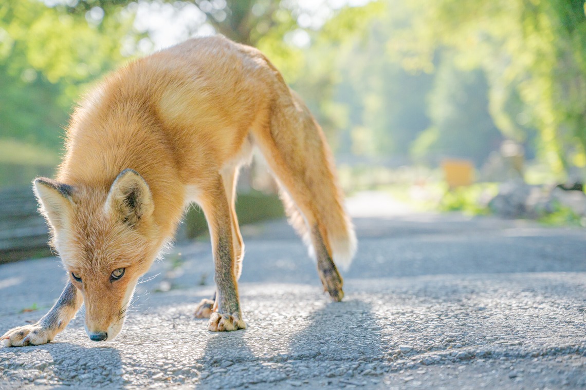 高木勇斗が撮影した写真のアルバム「風景」