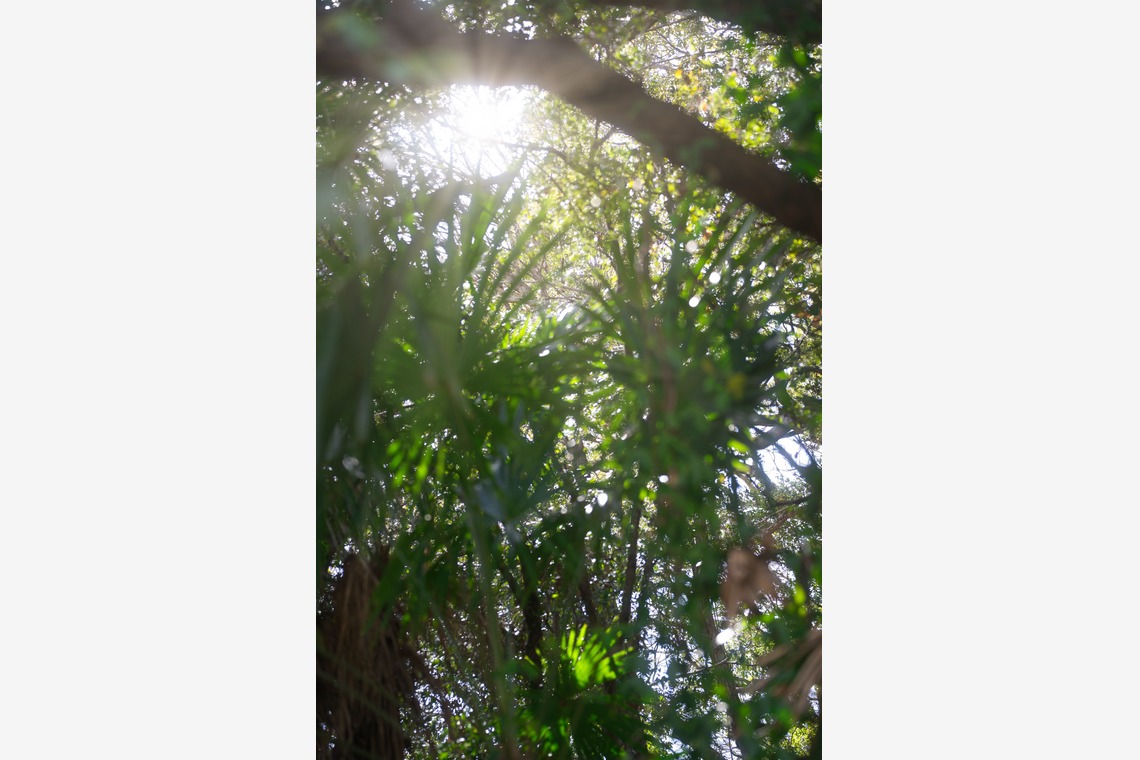 Tak Ogawa photographer