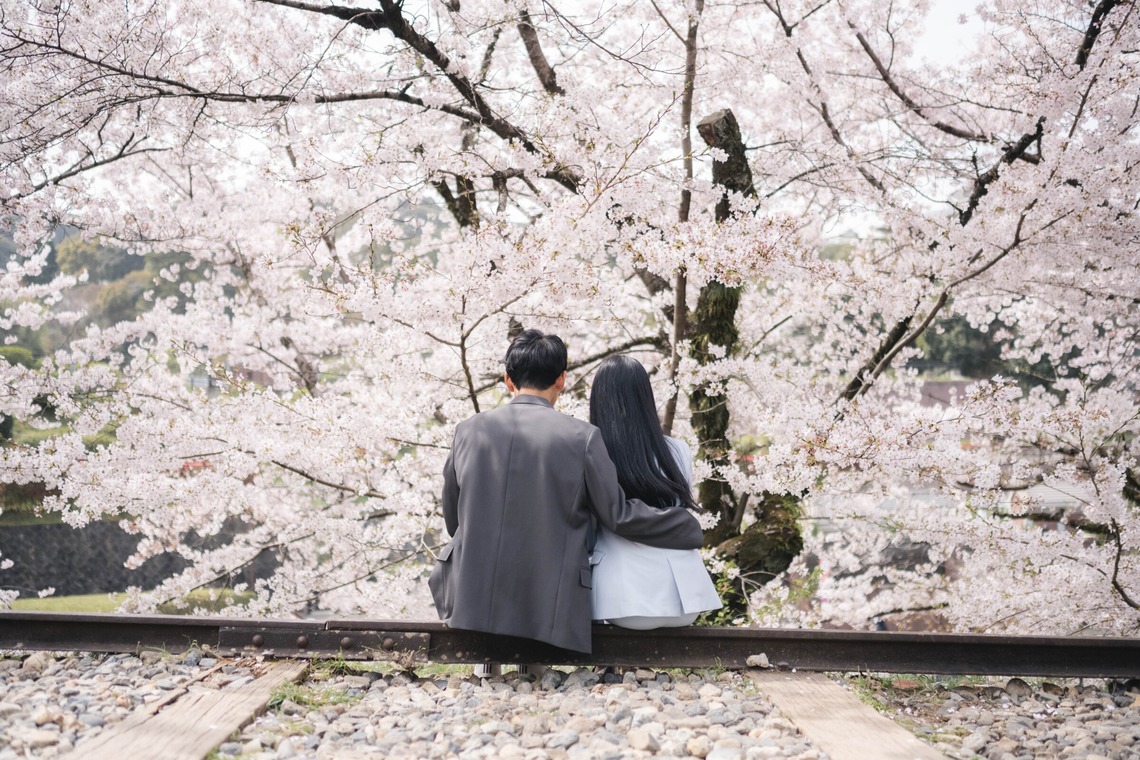 Album of the Engagement Photography taken by Kanae Suzuki - Couple photo in Kyoto with cherry blossoms in full bloom
