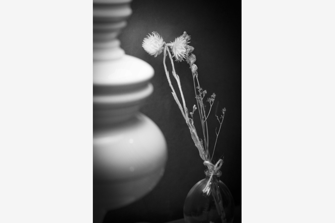 A&Y写真OFFICEが撮影した写真のアルバム「ブライダル＠ホテル、神社」