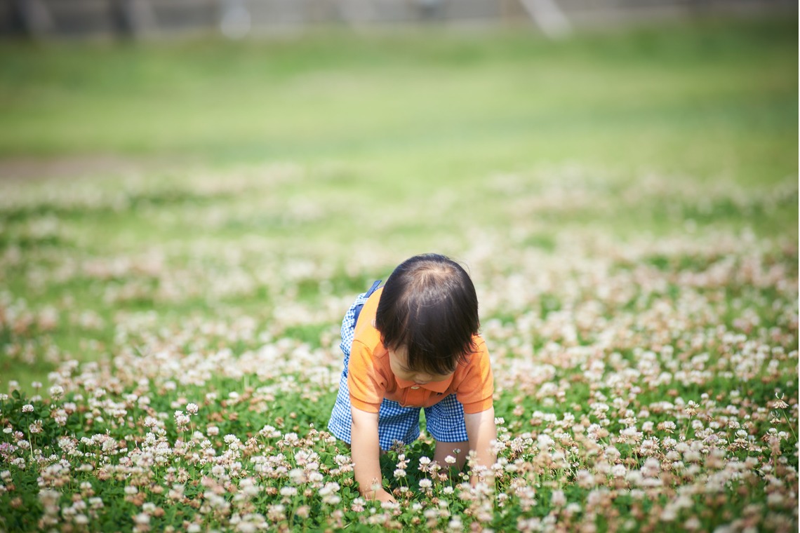 Michiharu GUNJIが撮影した「O様 ご家族撮影 湘南 夏」の写真