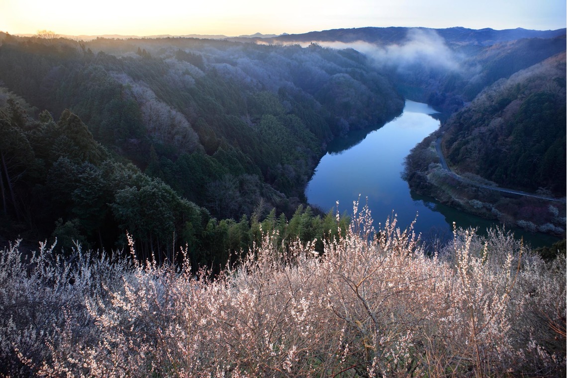 蛭子真写真事務所が撮影した「関西」の写真