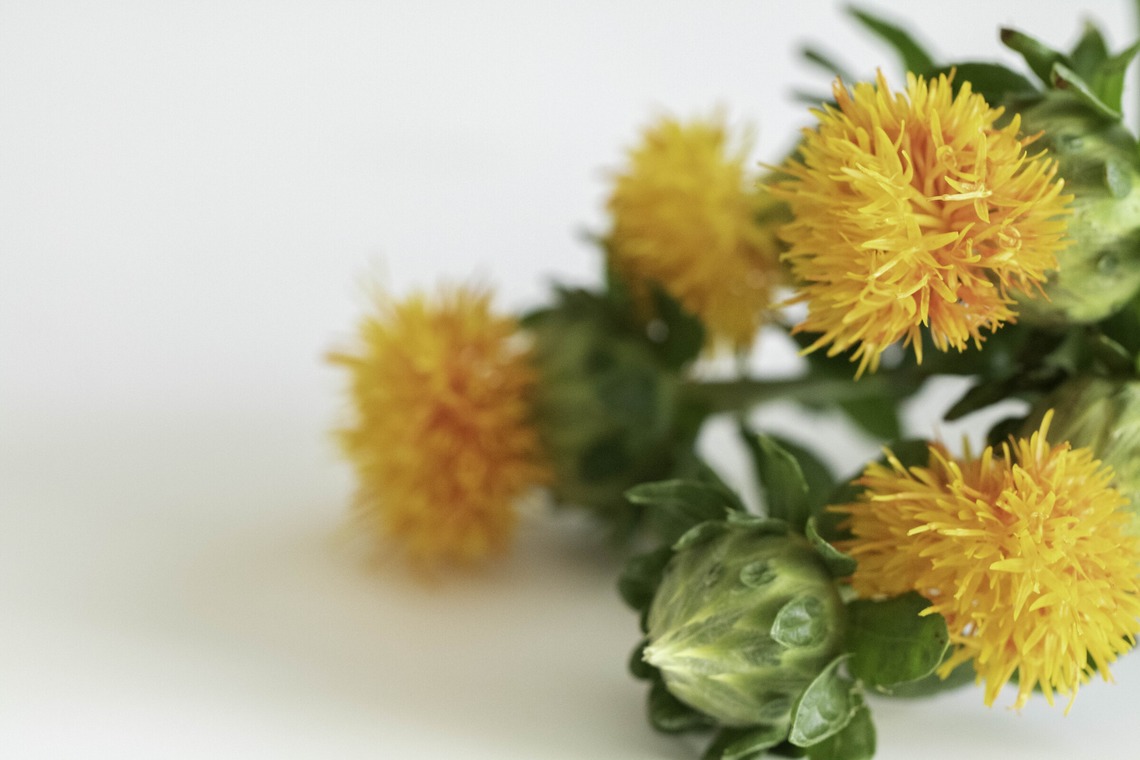 ミヤタカズコが撮影した写真のアルバム「花のある生活」