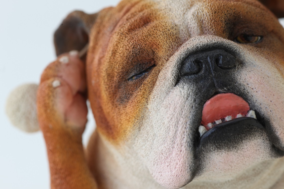 長谷部ナオキチが撮影した写真のアルバム「商品撮影」