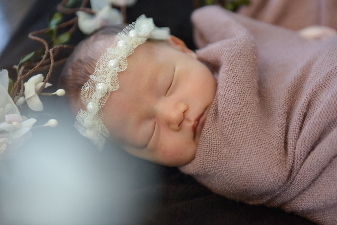 アラタンホヤガが撮影した写真のアルバム「ニューボーンフォト」