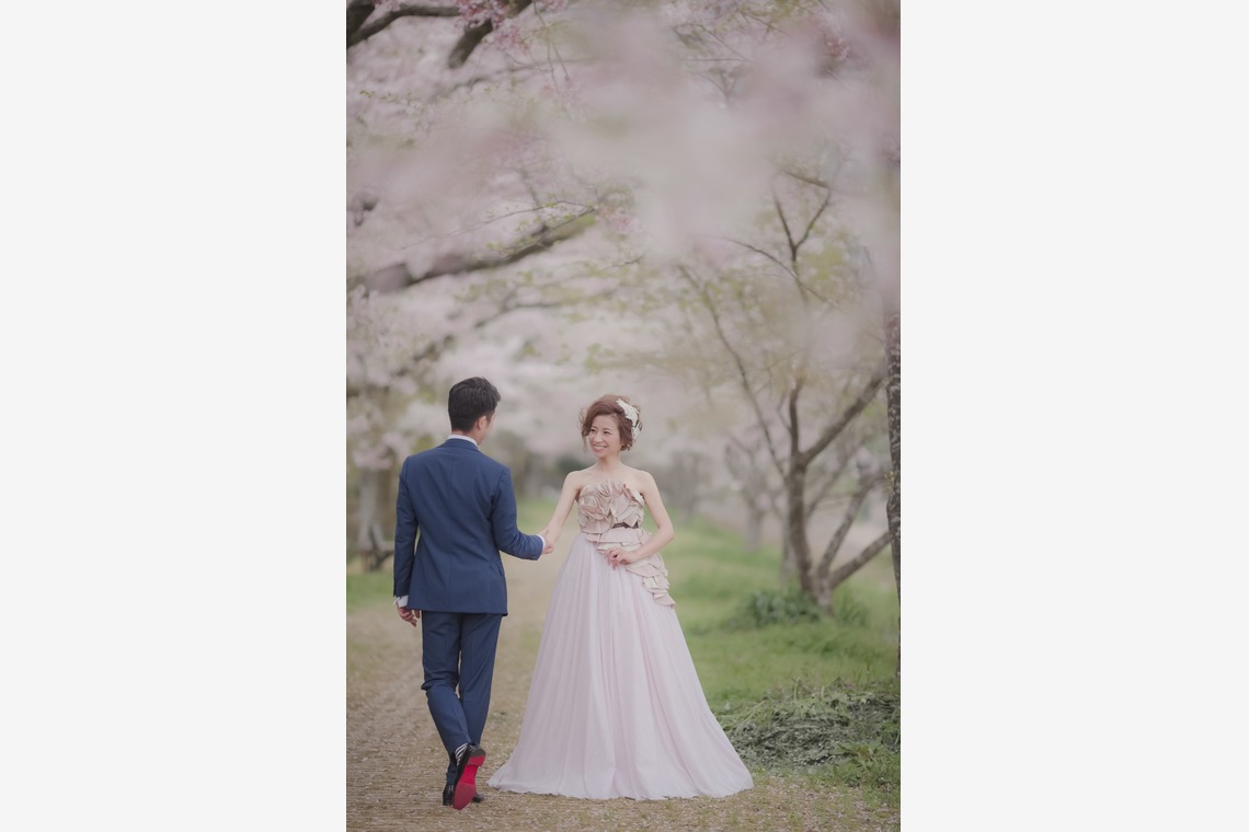  グラフィーズが撮影した「桜」の写真