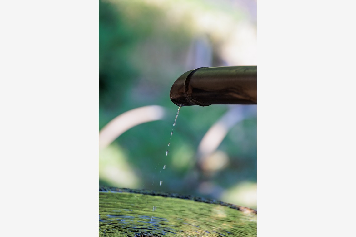 photobeehiveが撮影した「店舗・不動産・サロン・料理撮影」の写真